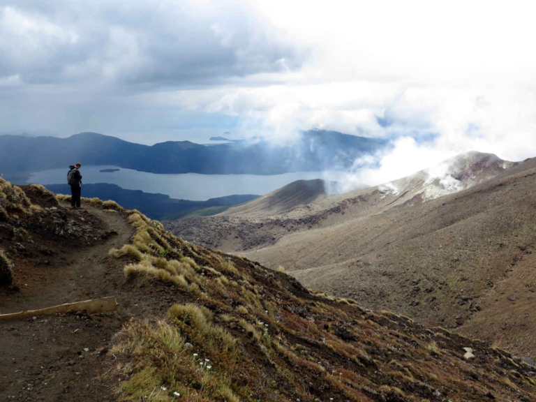 A 7 Day New Zealand North Island Itinerary for Solo Travellers (2026)