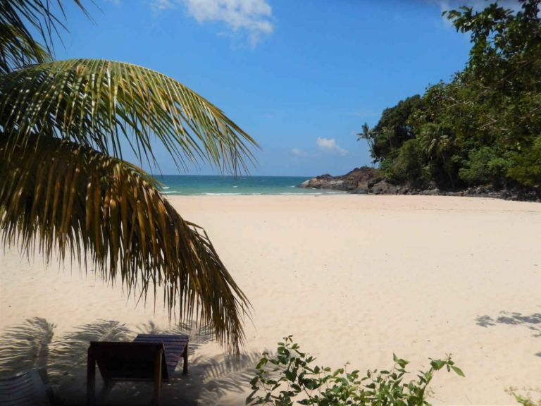 Things to Do in Tioman Island if You Love Nature (2026)