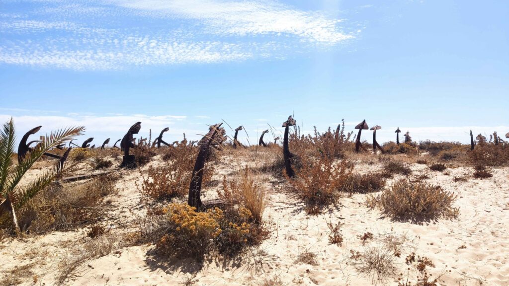 beaches in Tavira portugal