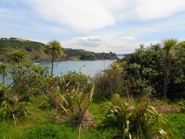Is Waiheke Island Worth Visiting? A Day Trip From Auckland (2026)