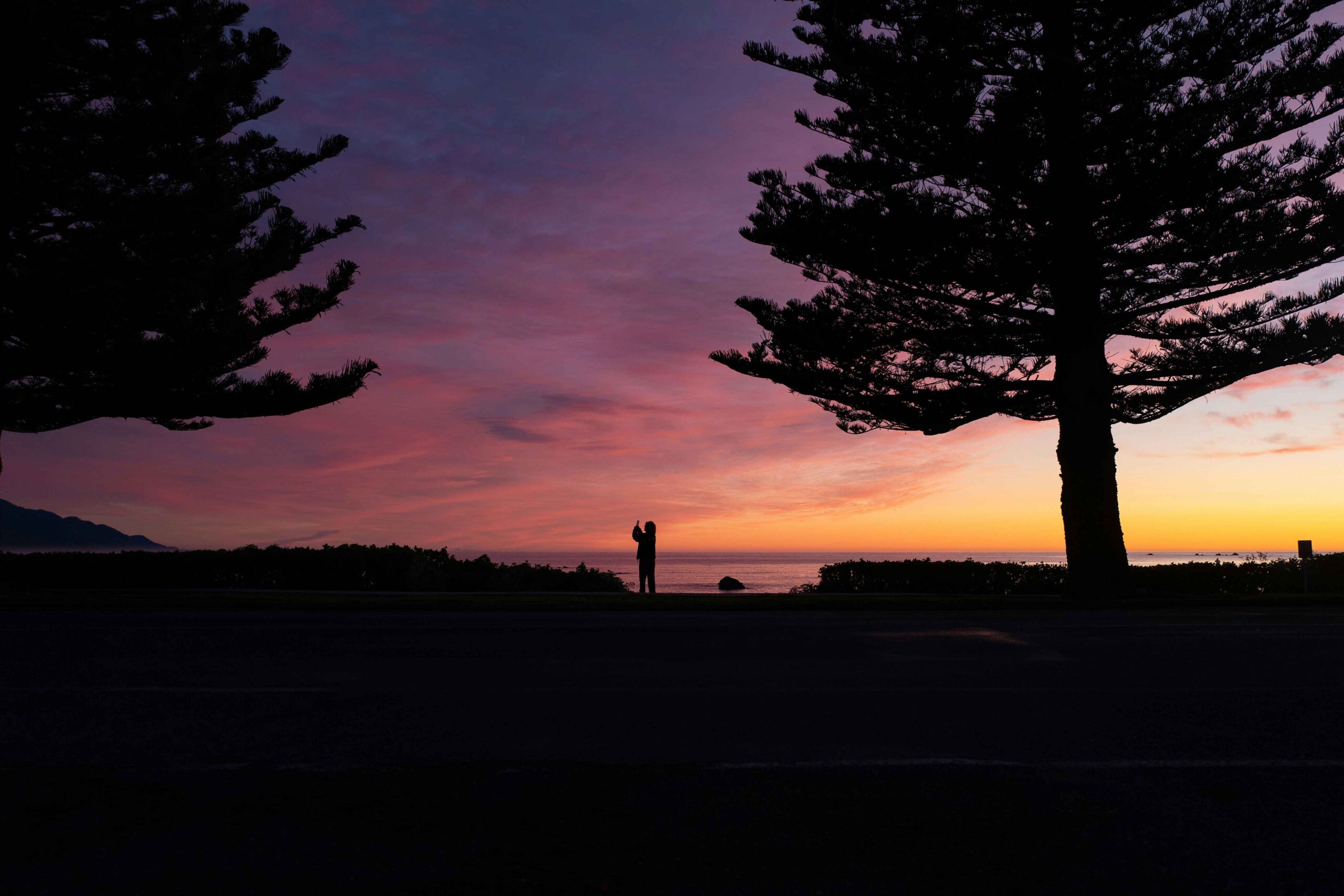 Is Kaikoura Worth Visiting in New Zealand? (2026)