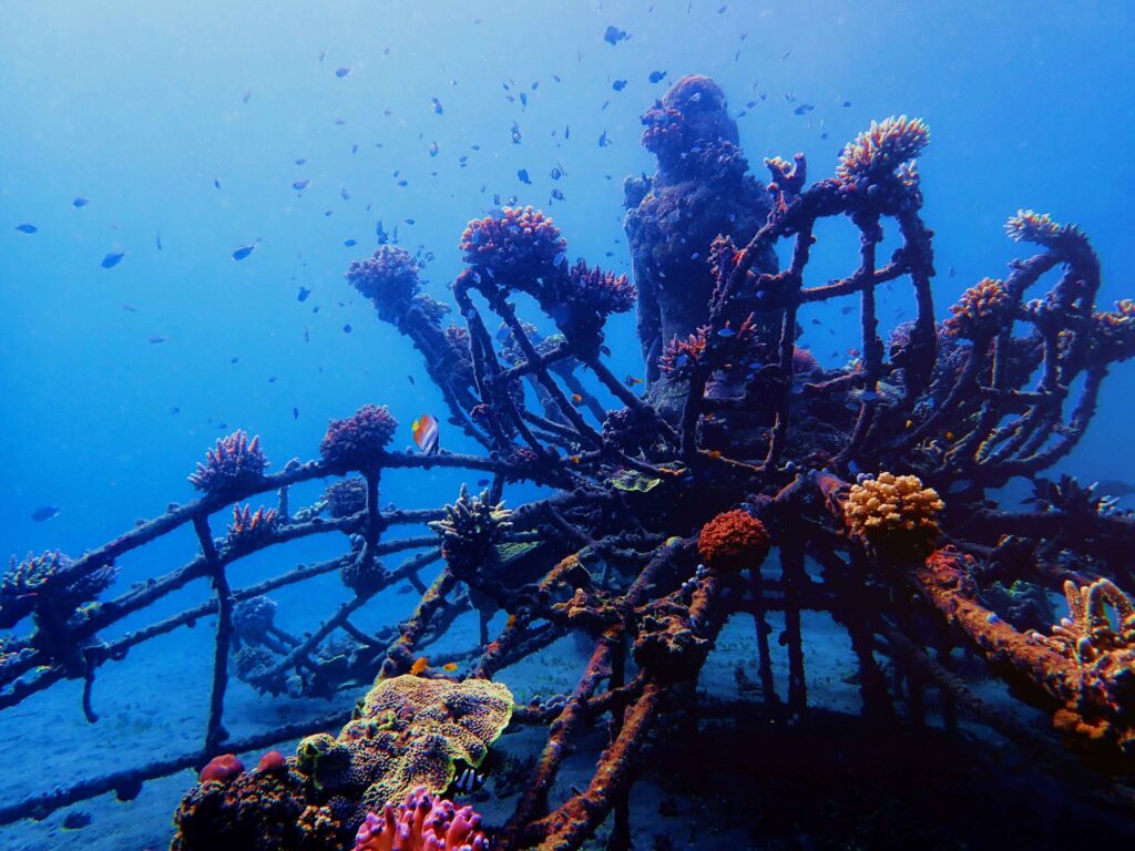 things to do in pemuteran bali